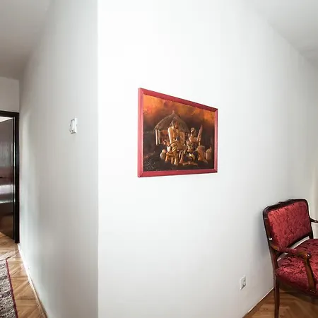 Sensitive Apartment 贝尔格莱德 外观 照片