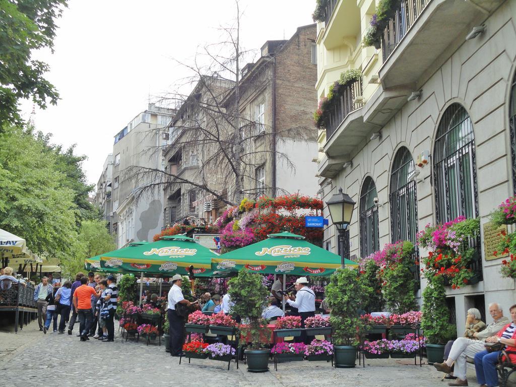 Sensitive Belgrade